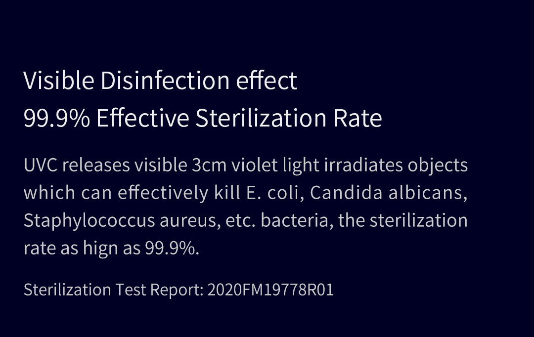 Sterilization Wand